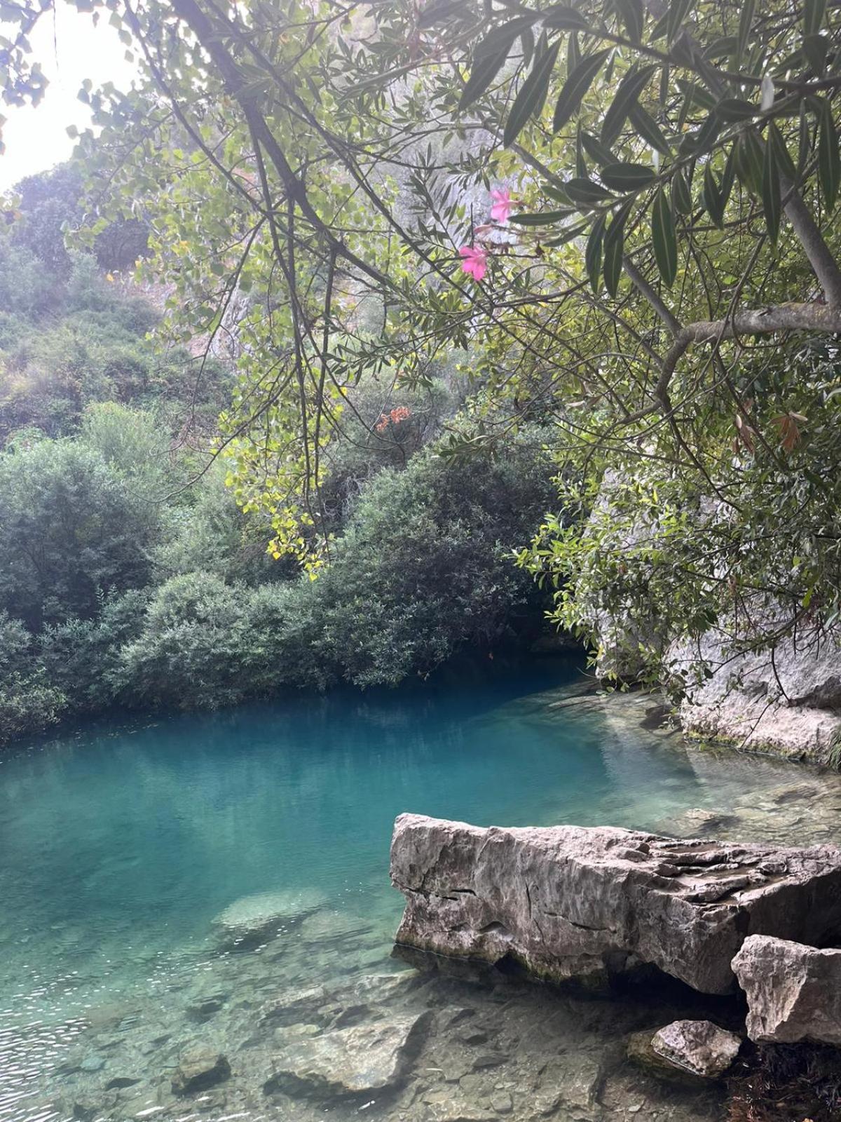 Casa El Cerro Villa Cortes de la Frontera Dış mekan fotoğraf